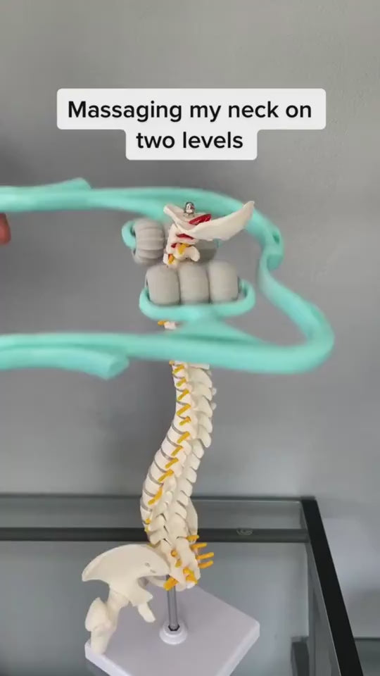 Man demonstrating a neck massager roller on a spine model, showing two massage levels, then using level one and level two to massage his neck by adjusting head position.