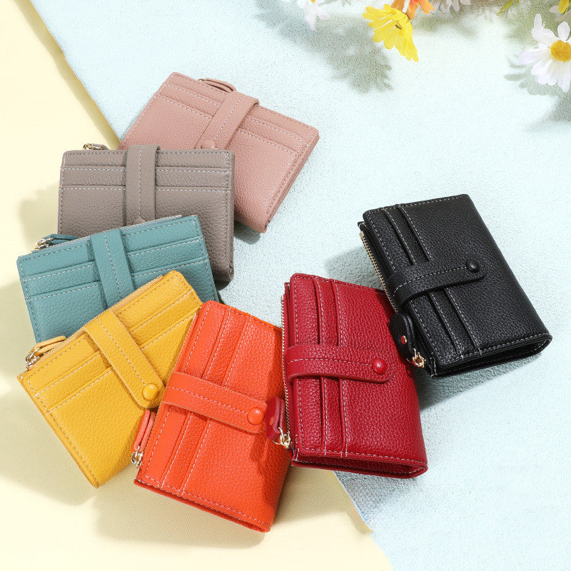 Set of colorful wallets on a light background with flowers.